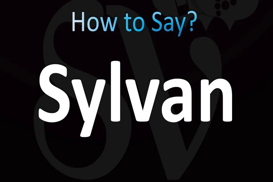 Sylvan Language Translator