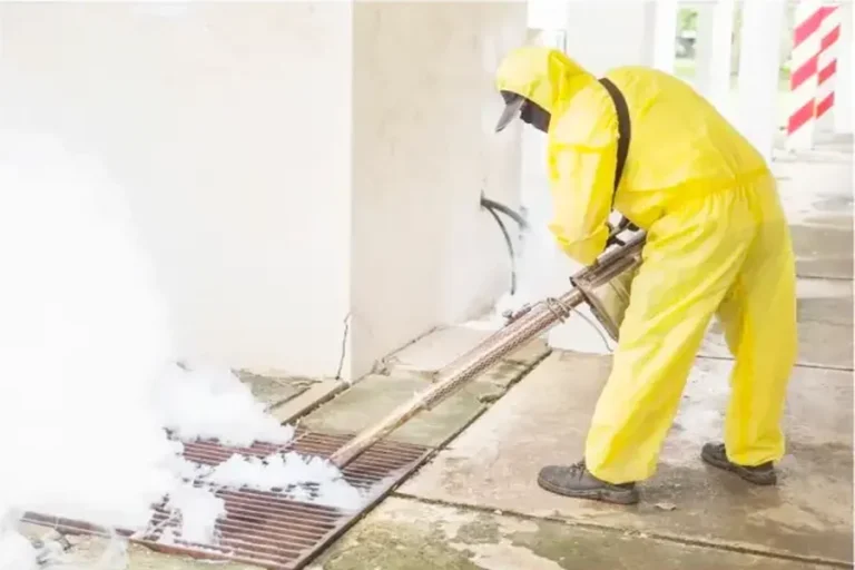 Why Hiring a Professional Exterminator Can Save Time and Effort