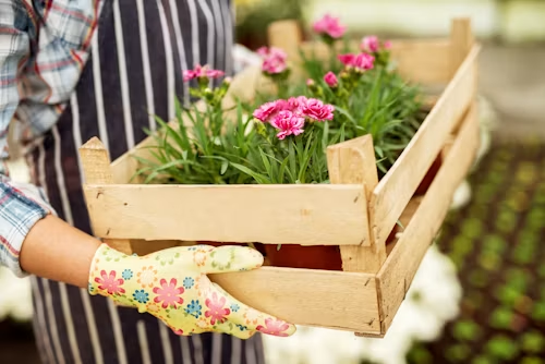 Make Gardening More Comfortable With Raised Planter Boxes With Legs