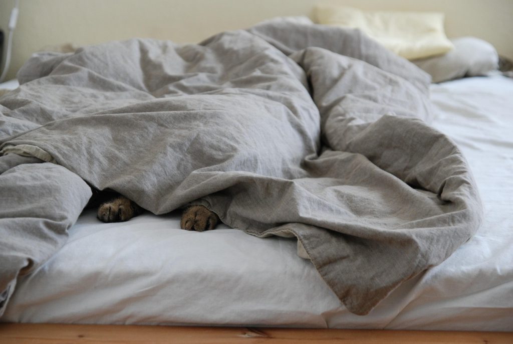 Signs You’ve Found the Best Queen-Size Comforter for Your Needs – LatestBedding Guide